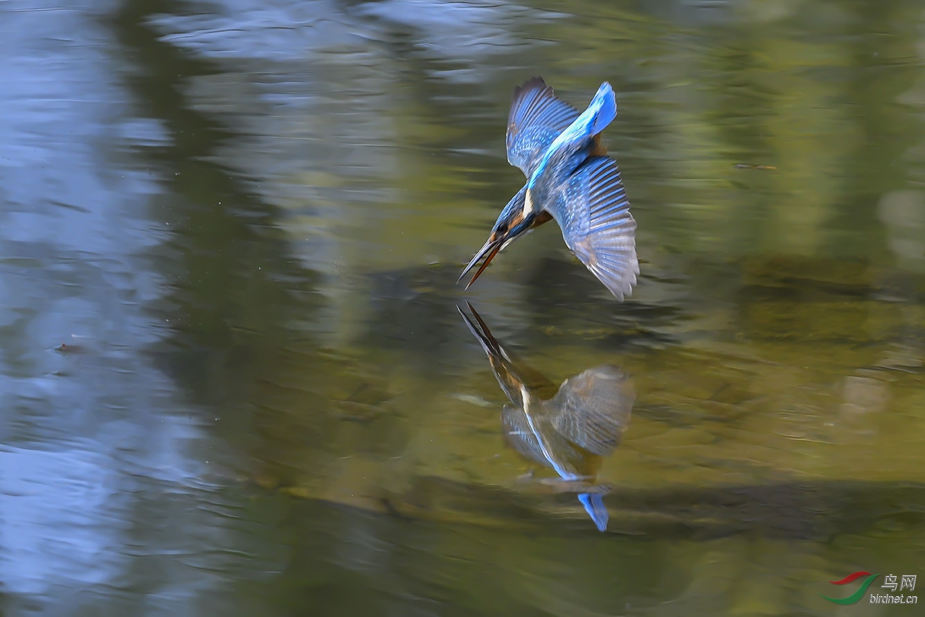 DSC_3115-2.jpg
