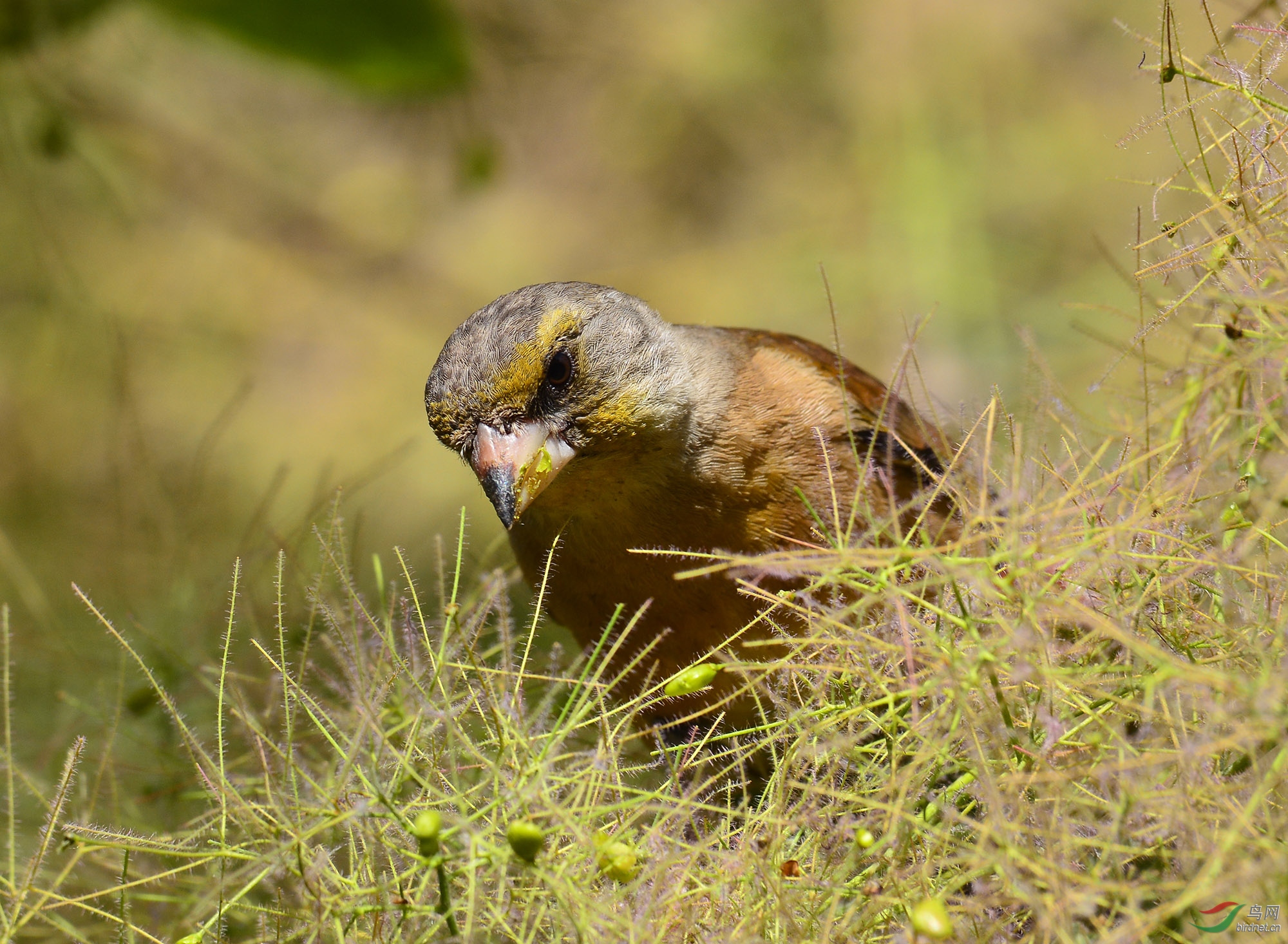 ������Ӱ 331����.jpg