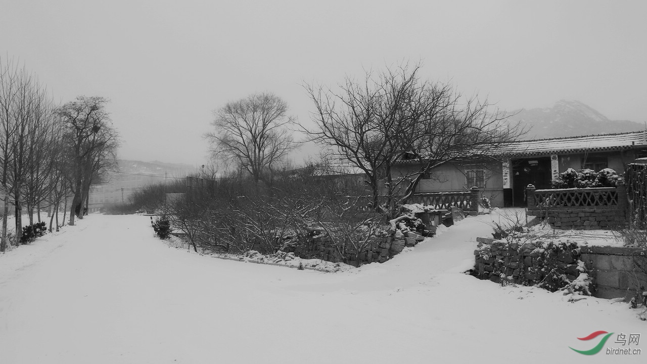 TX0A6951.jpg