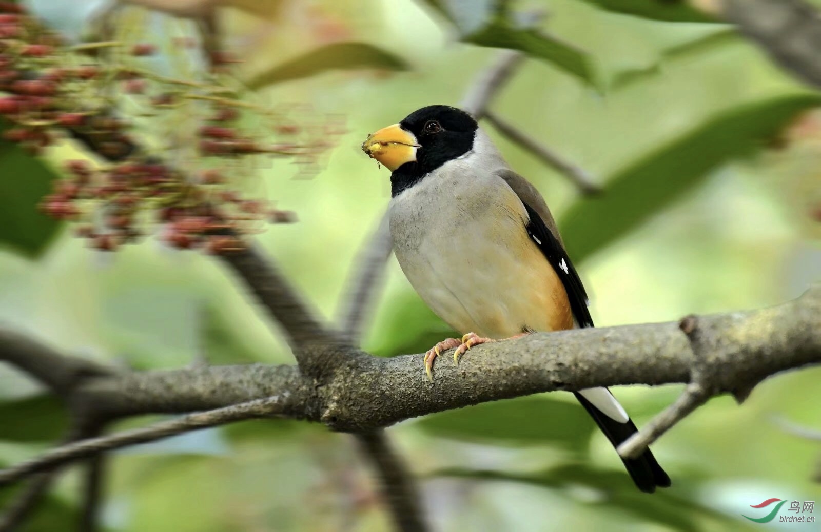 71C3048E-481C-45A9-8F10-3373C150C03A.jpeg