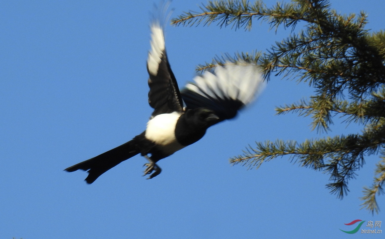 DSCN0905.JPG