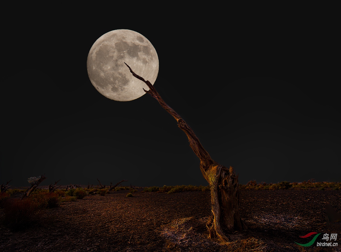 2S6A7316C.jpg
