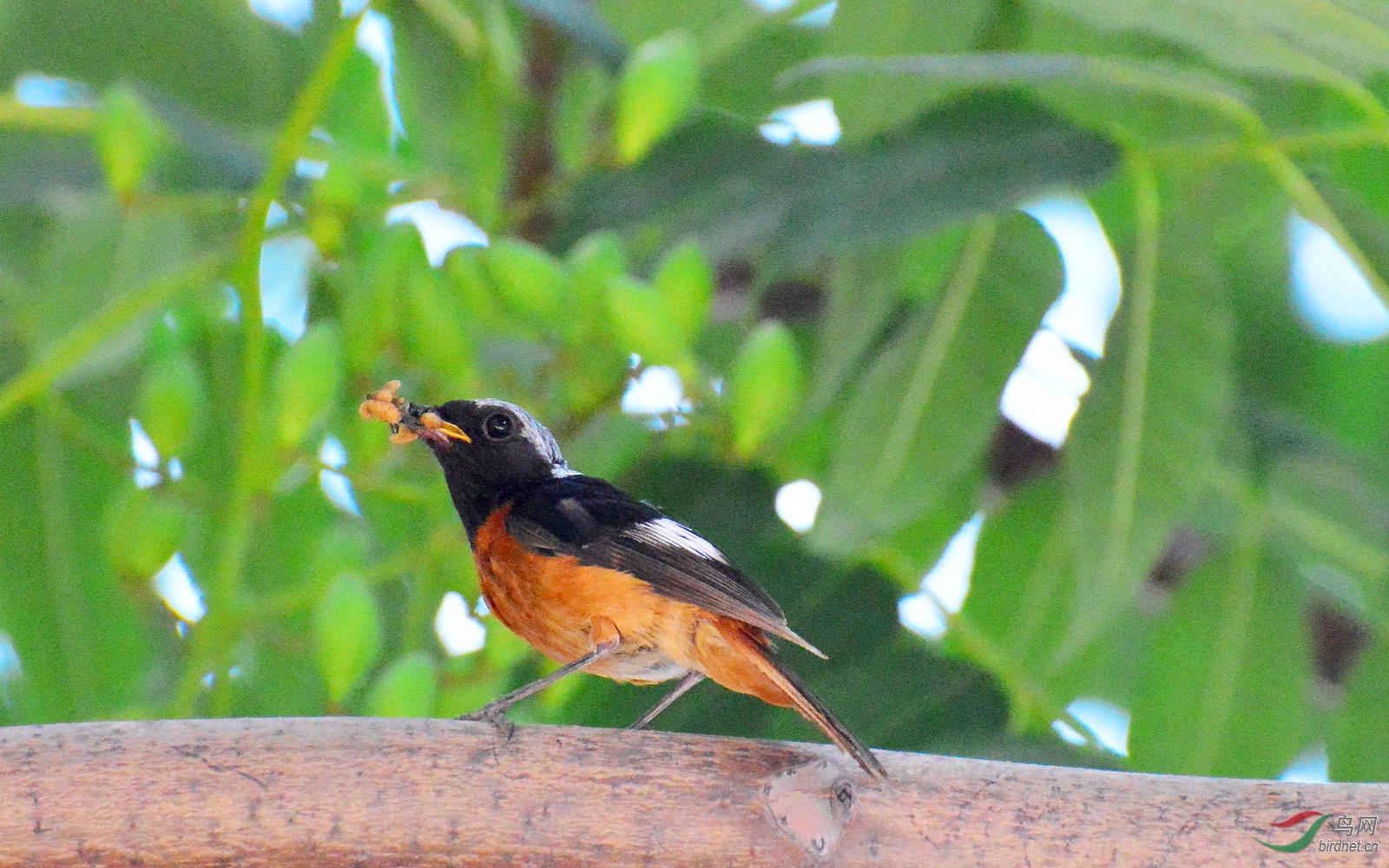 DSC_8990.JPG