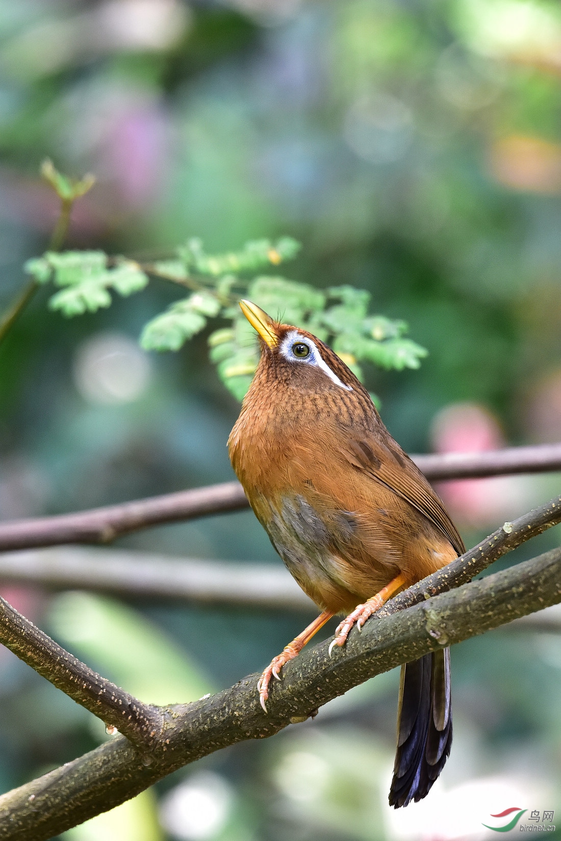 DSC_0546.JPG