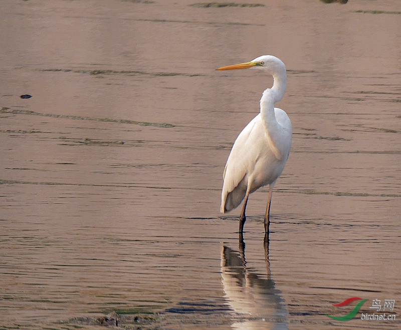 P3940402 - ����.JPG