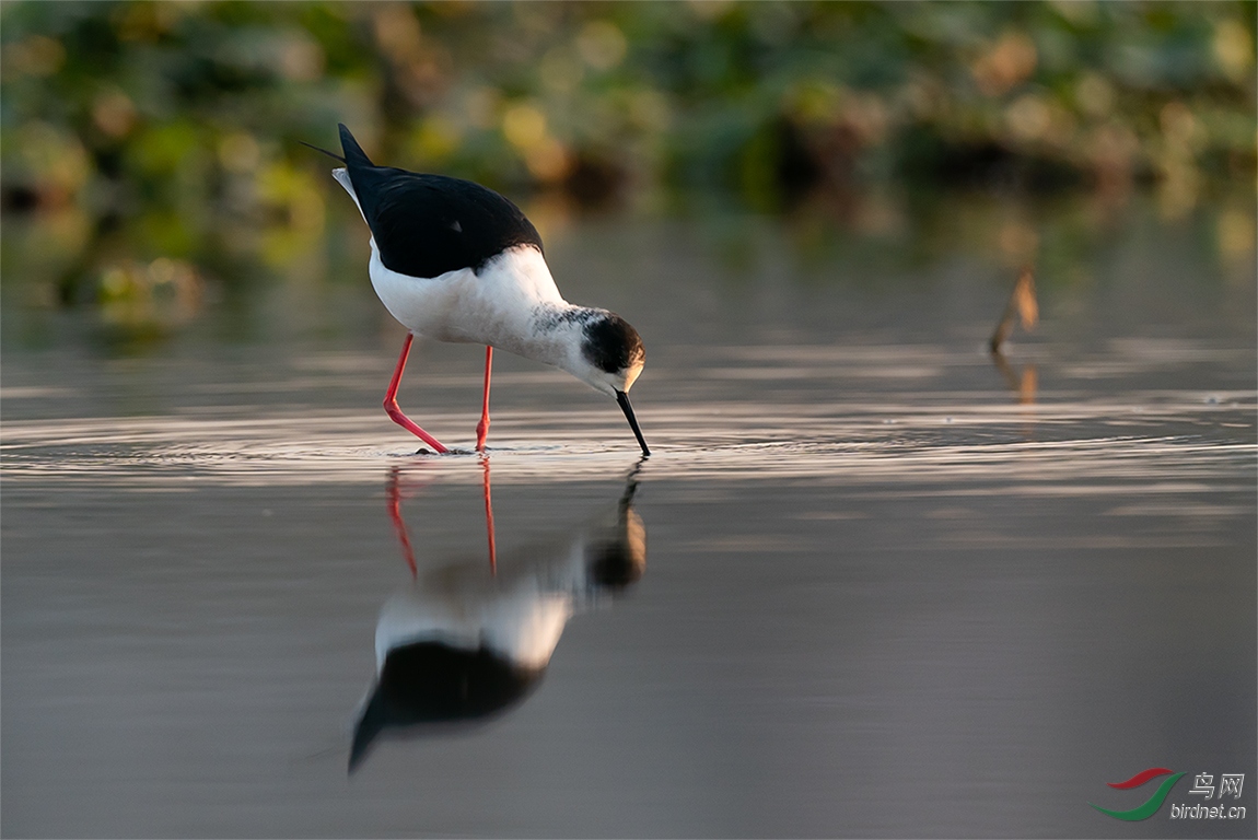 �����20191207_4623-1.jpg