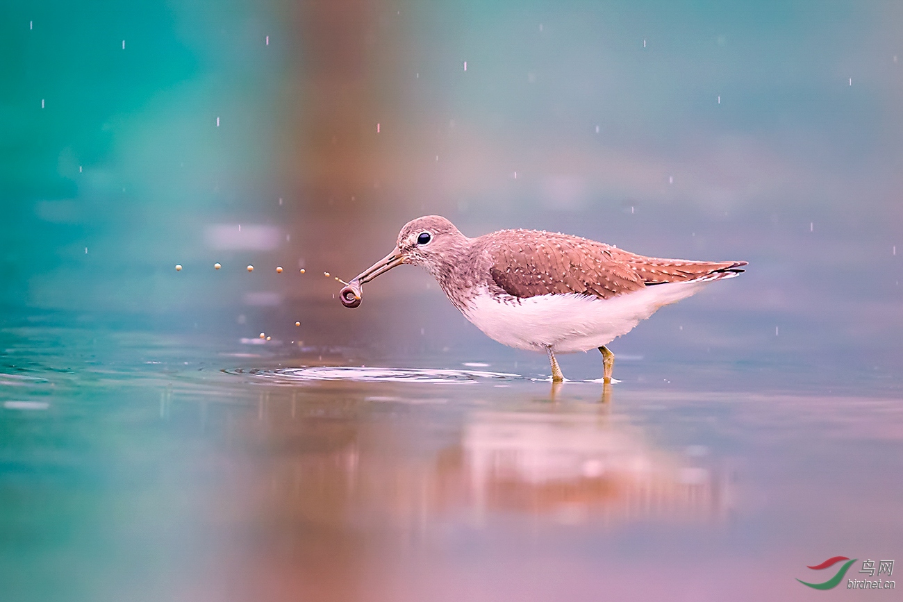 _MG_0467B.jpg