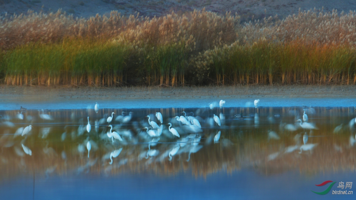 2019��10�������ڸ�����Ҵ�ں�ʪ�ع��Ҽ���Ȼ������