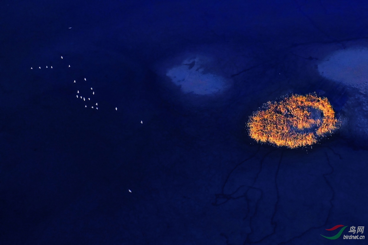 2019��10�������ڸ�����Ҵ�ں�ʪ�ع��Ҽ���Ȼ������