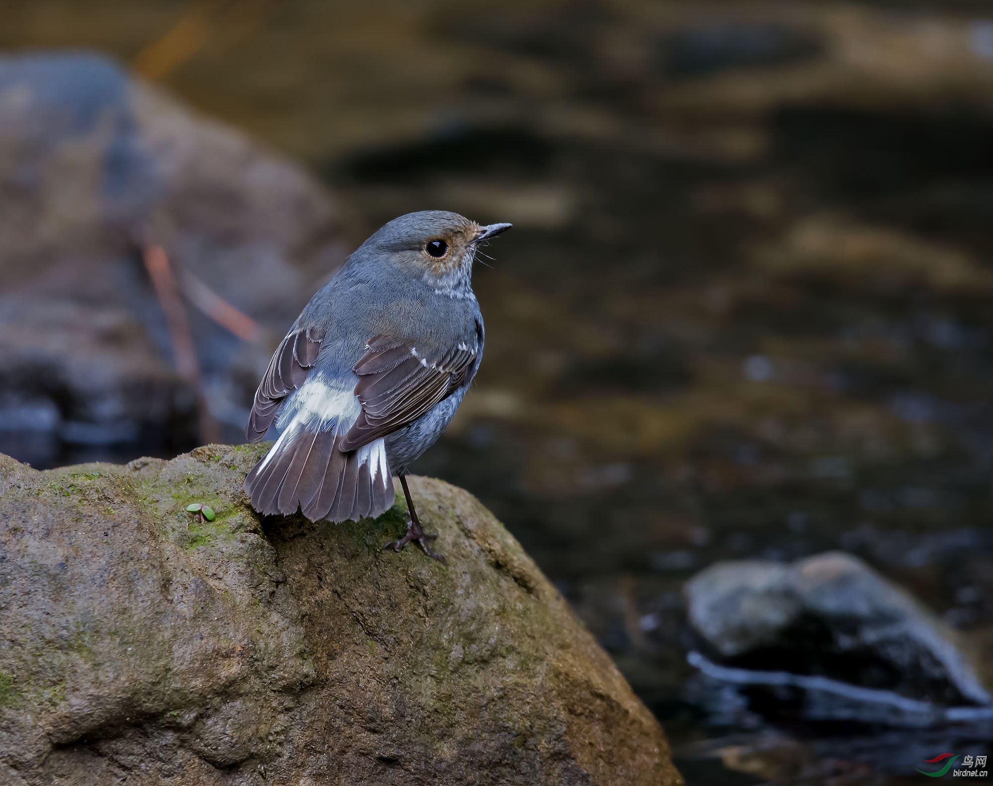 DSC_8410.jpg