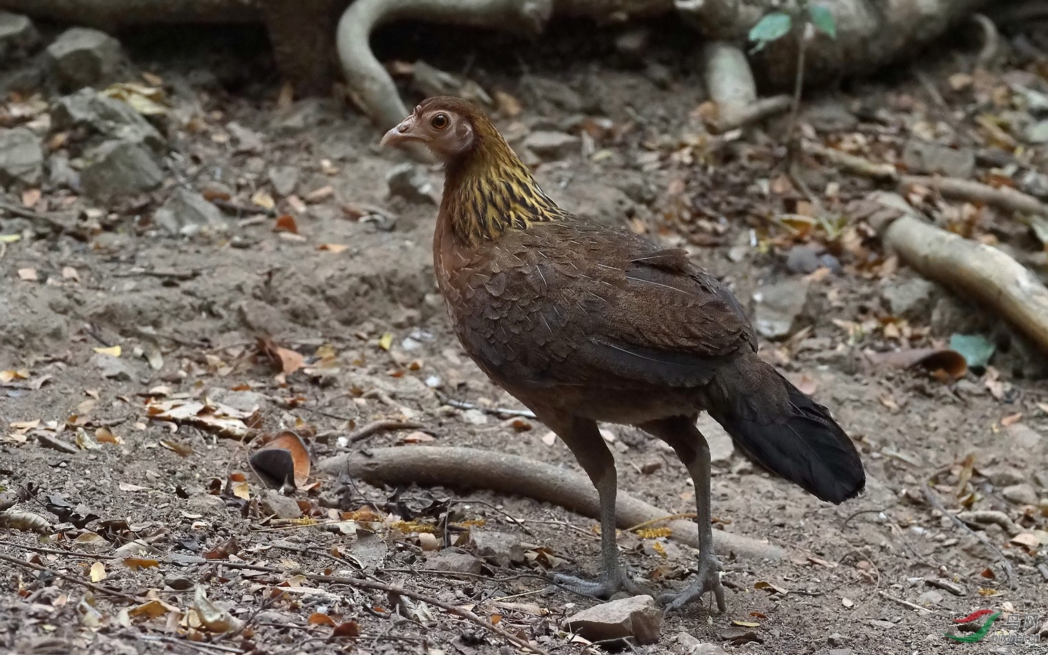 P3191105_����_DxO (����).jpg