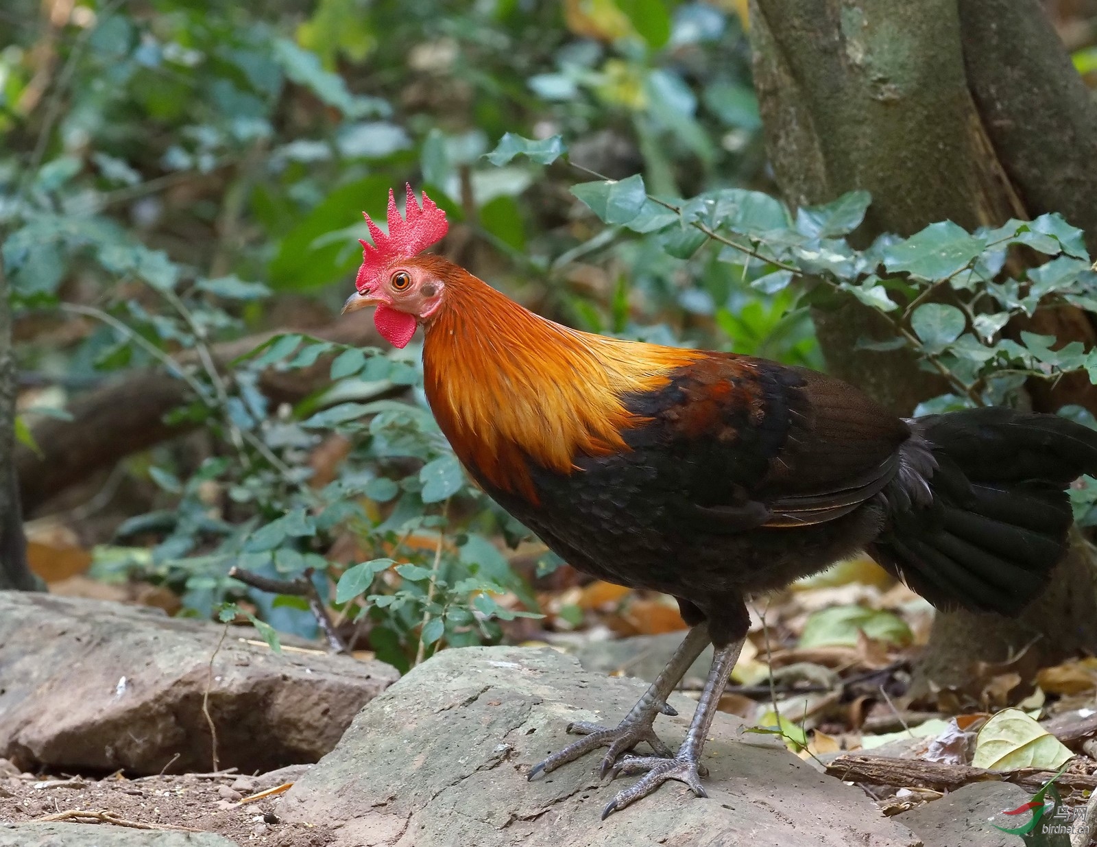 P3180449_����_����_DxO (����).jpg