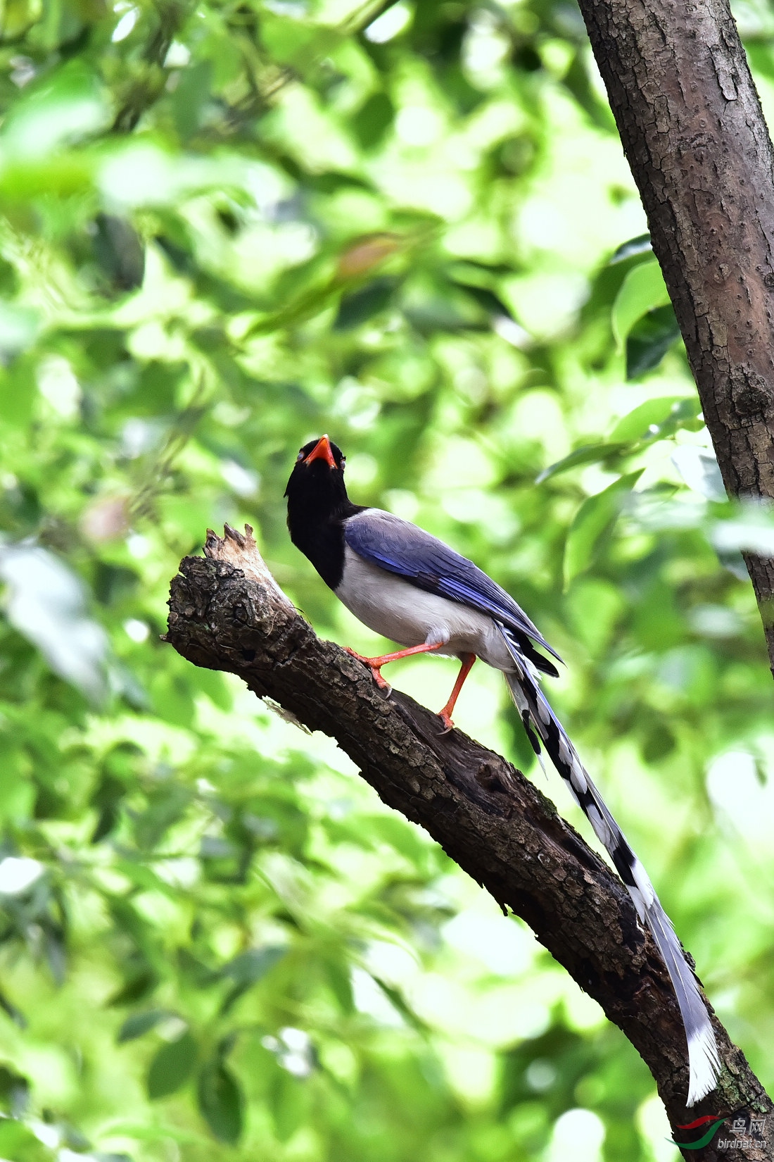 DSC_0980.JPG