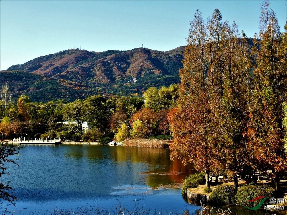 DSCN5674 - ����.JPG