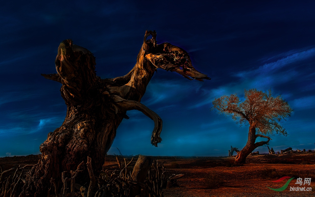 2S6A7220A.jpg