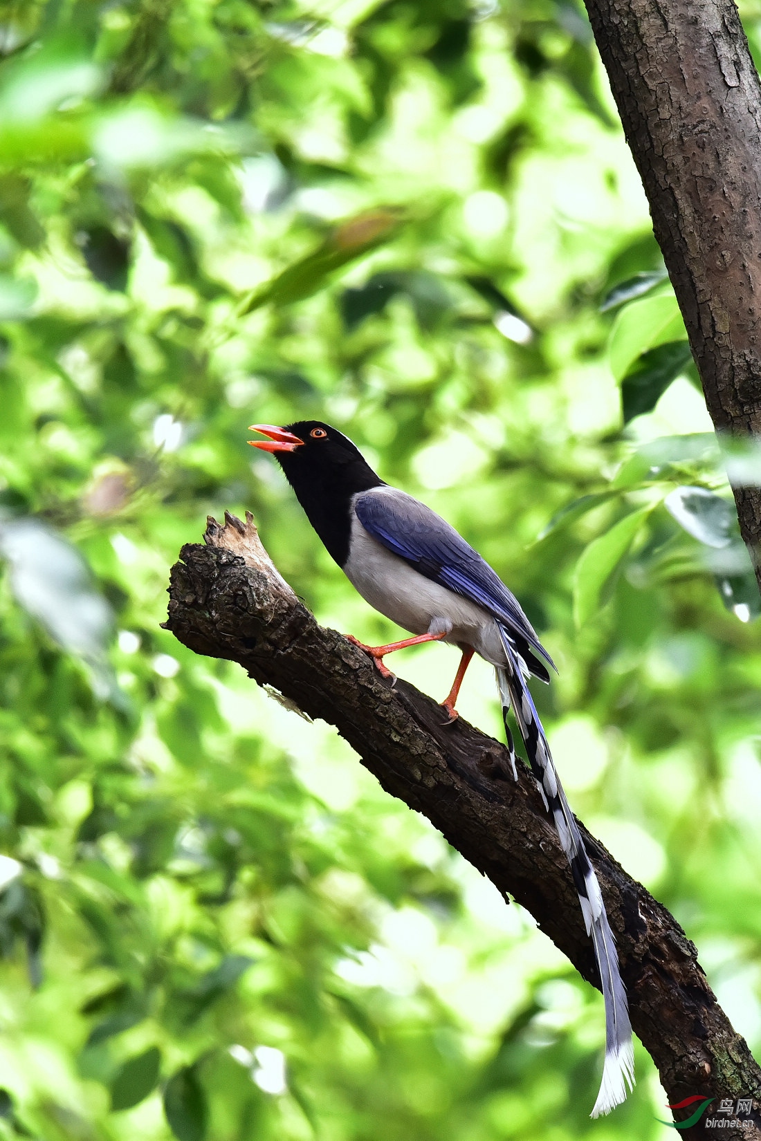 DSC_0981.JPG