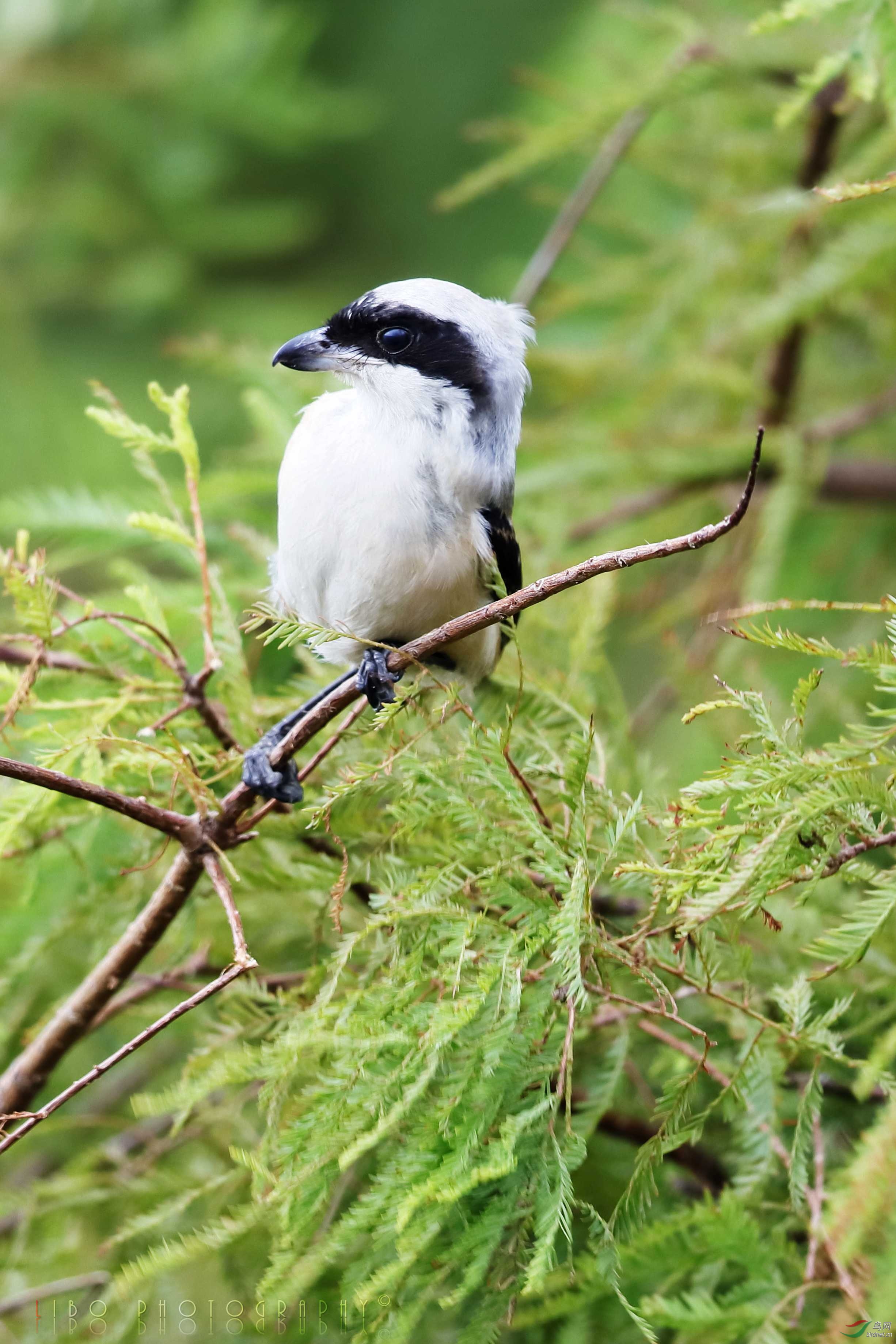 2019-10-05 90D+640�ϻ� 044.JPG