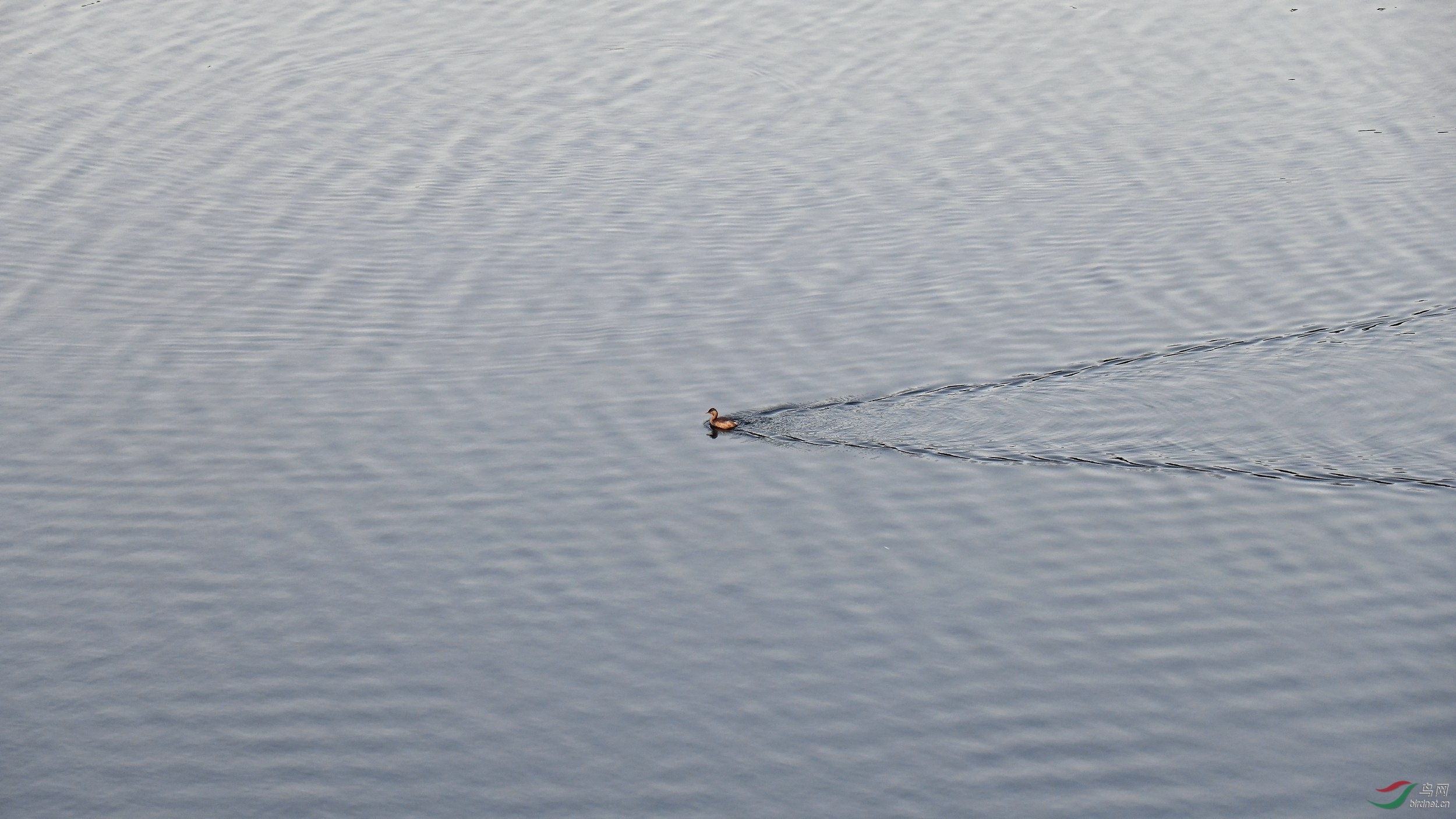 2019-12-11-����ˮ��-1627 500KСͼ.jpg