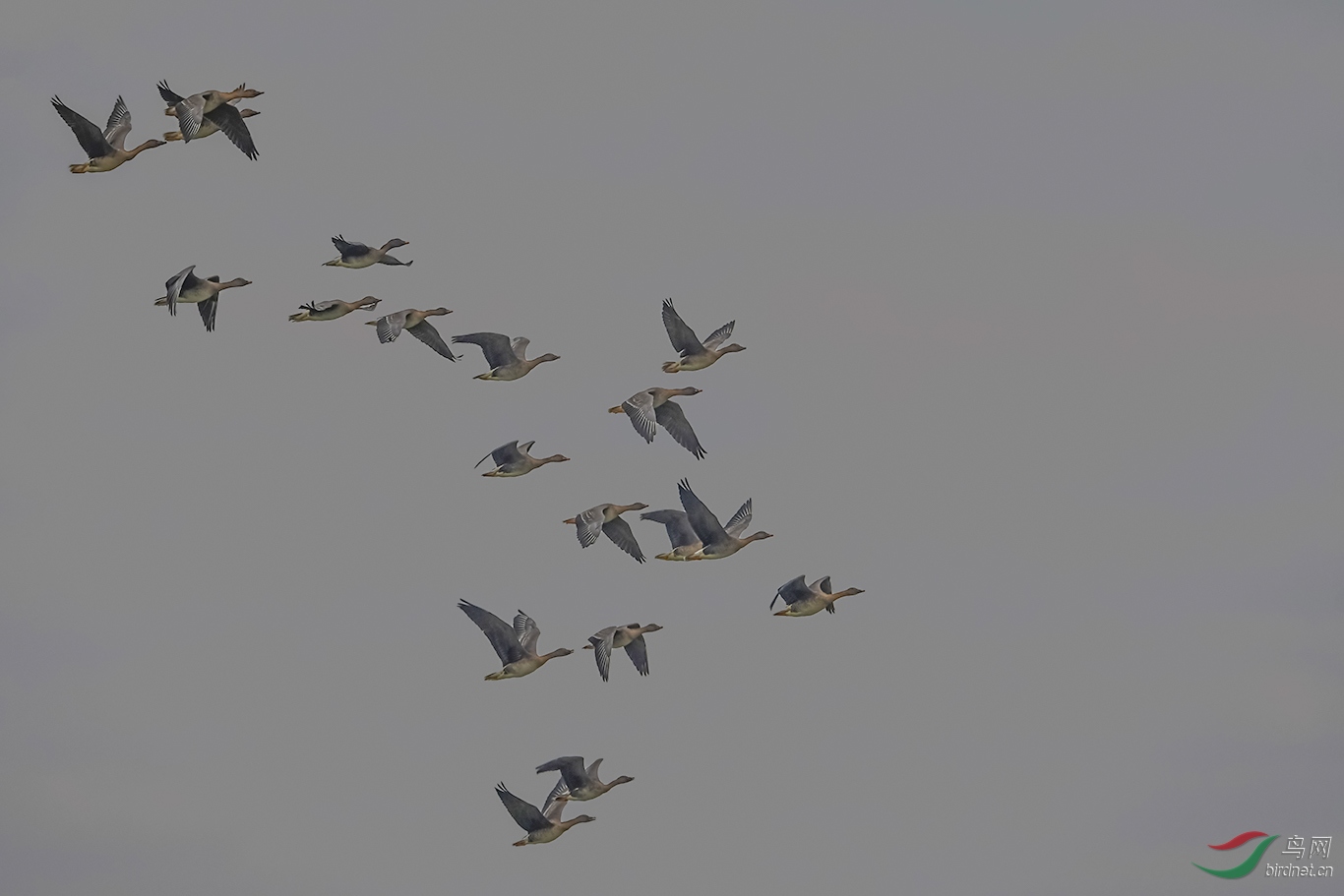 DSC_2322.JPG