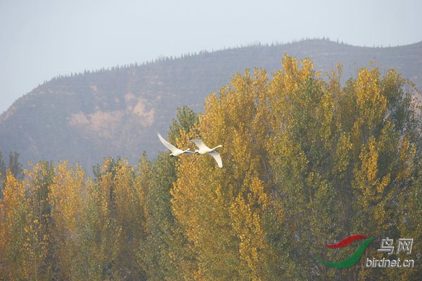 _E8J0312.jpg