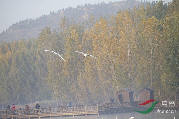 _E8J0344.jpg