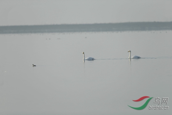 _E8J0417.jpg