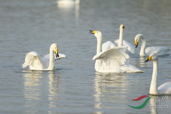 _E8J0419.jpg