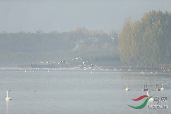 _E8J0450.jpg