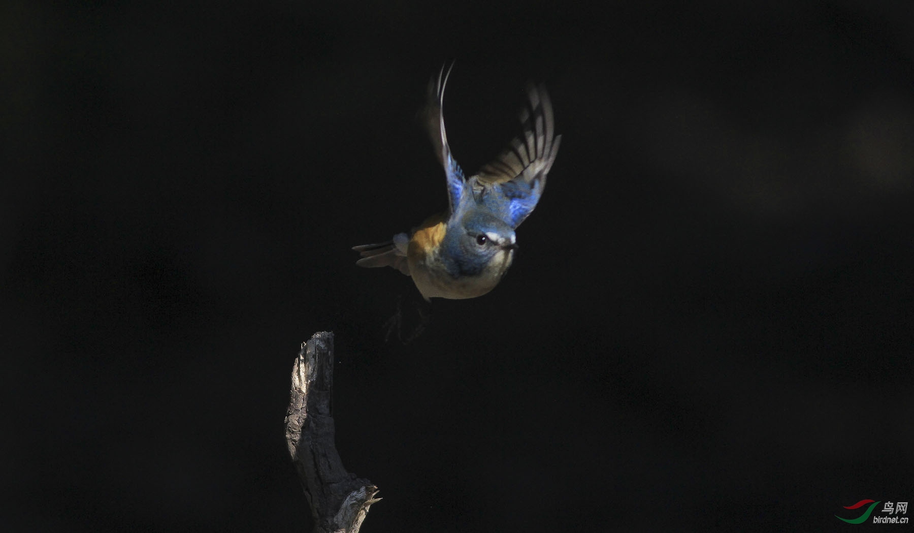 IMG_9915 - ����.JPG