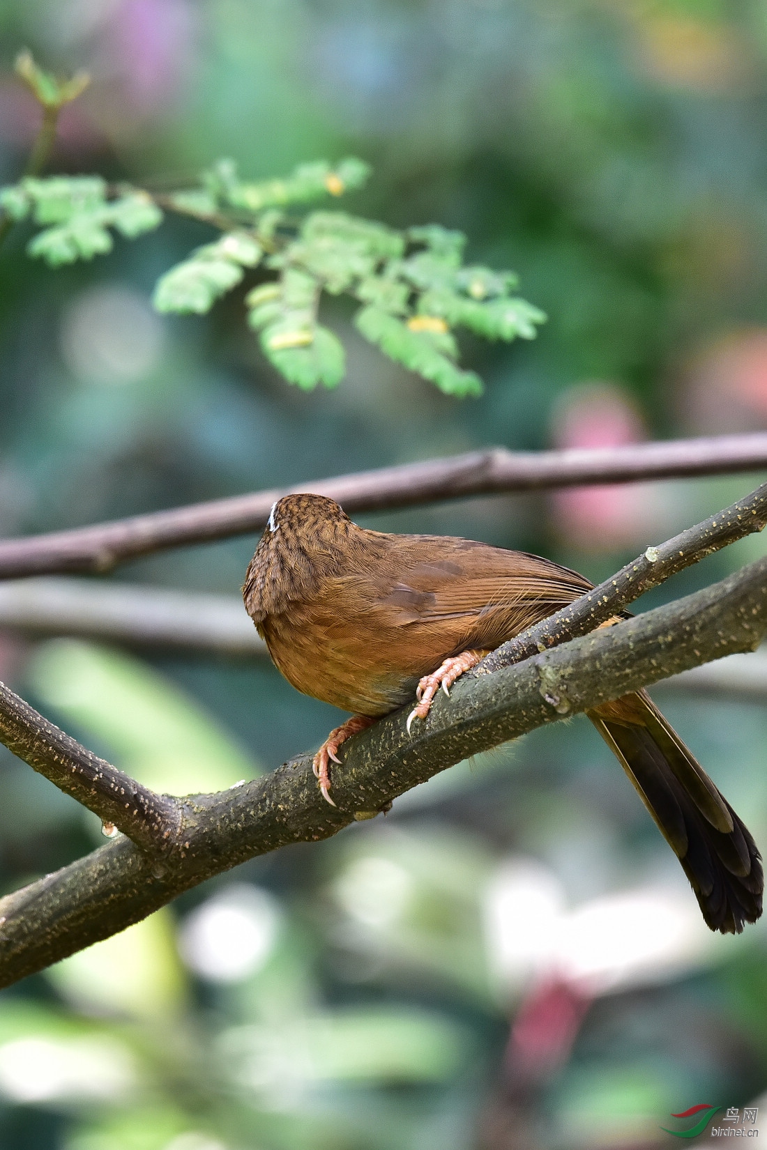DSC_0557.JPG