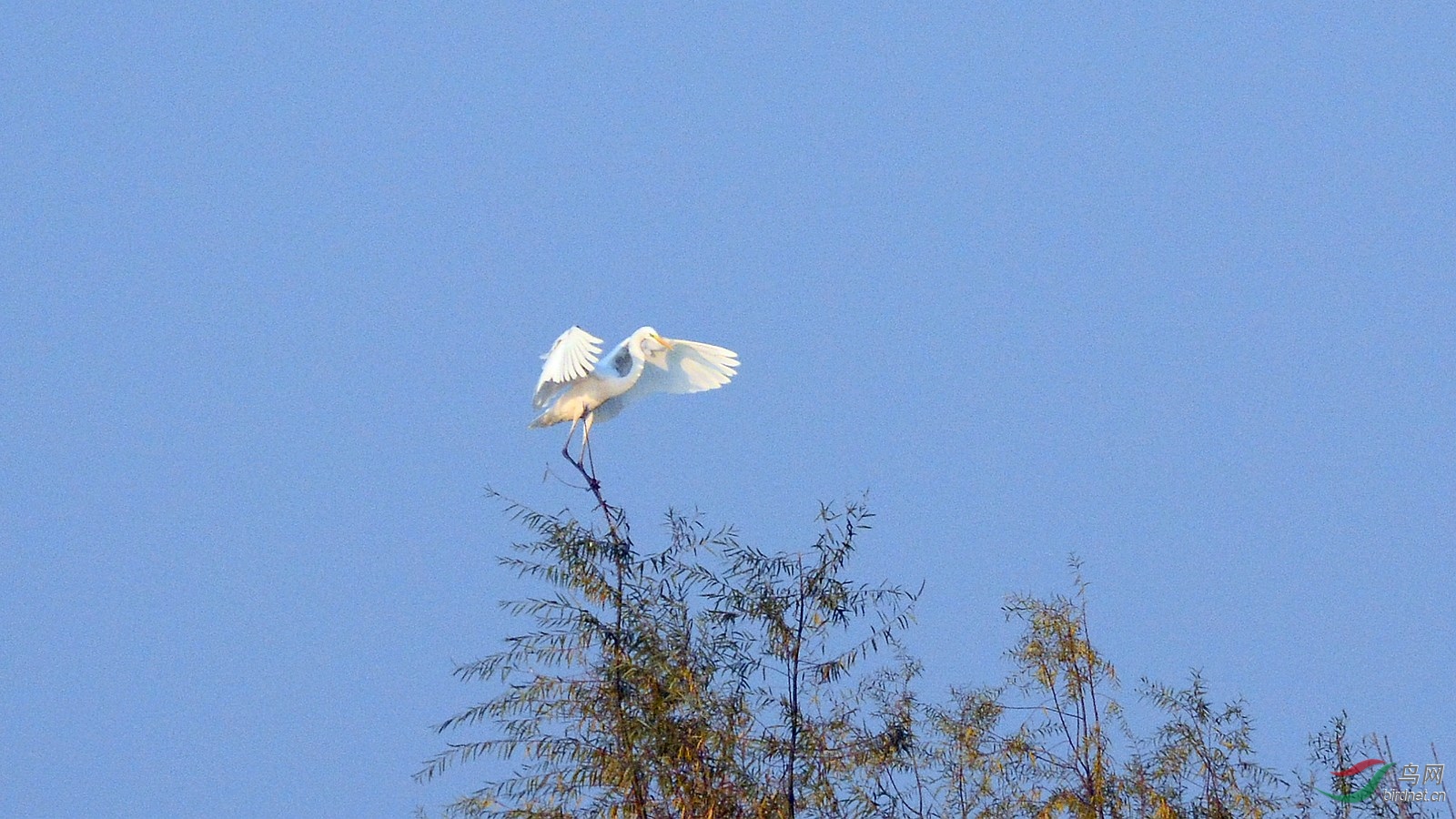 DSC_4723.JPG