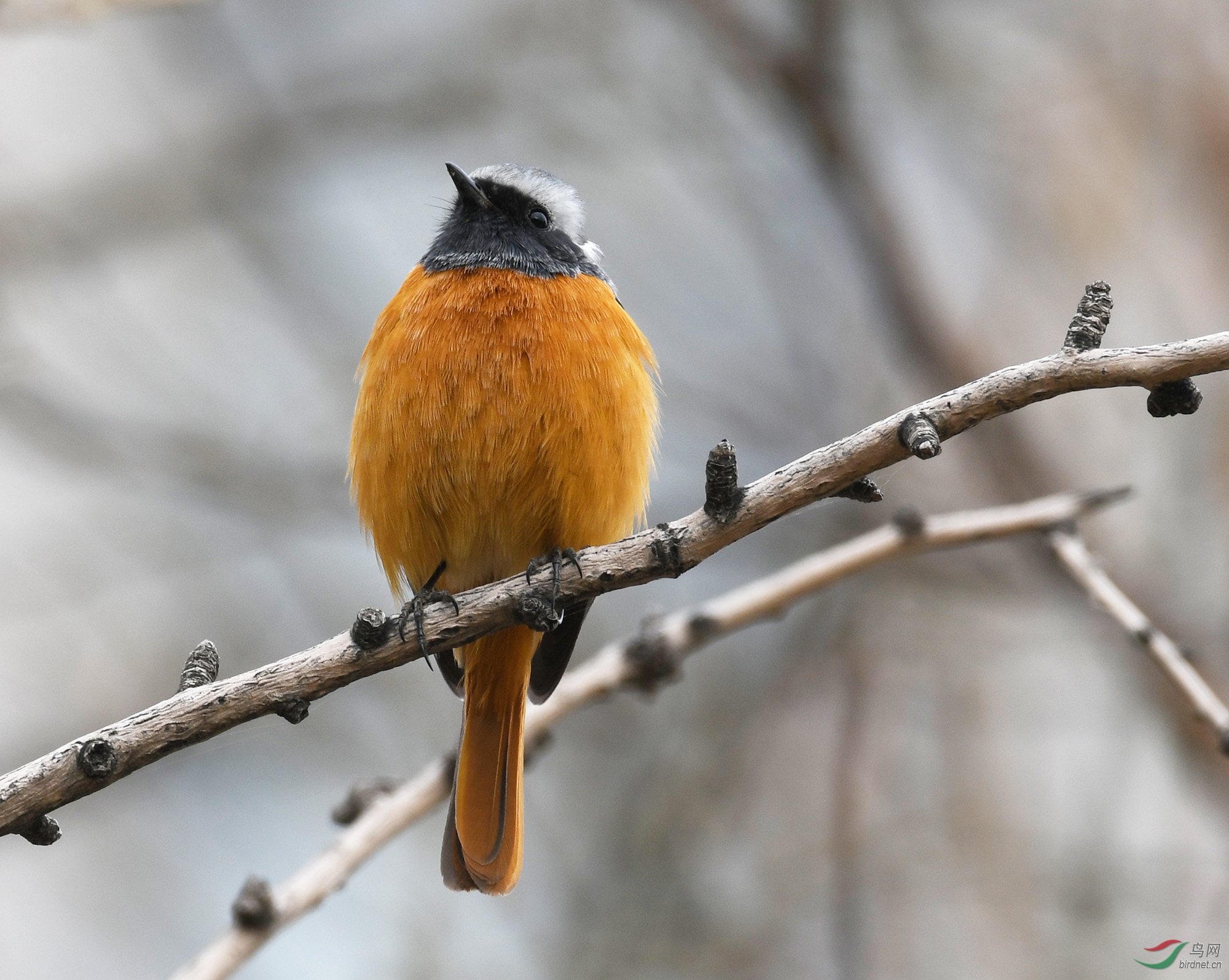 ������Ӱ 773����.jpg