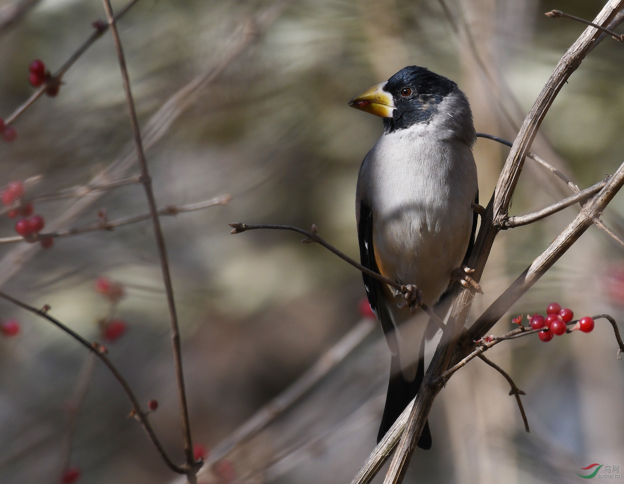 ������Ӱ 038����.jpg