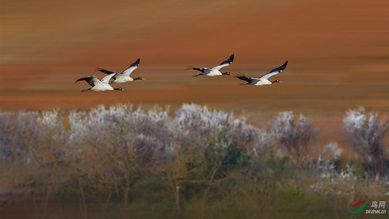 9K0A0878_1-W.jpg