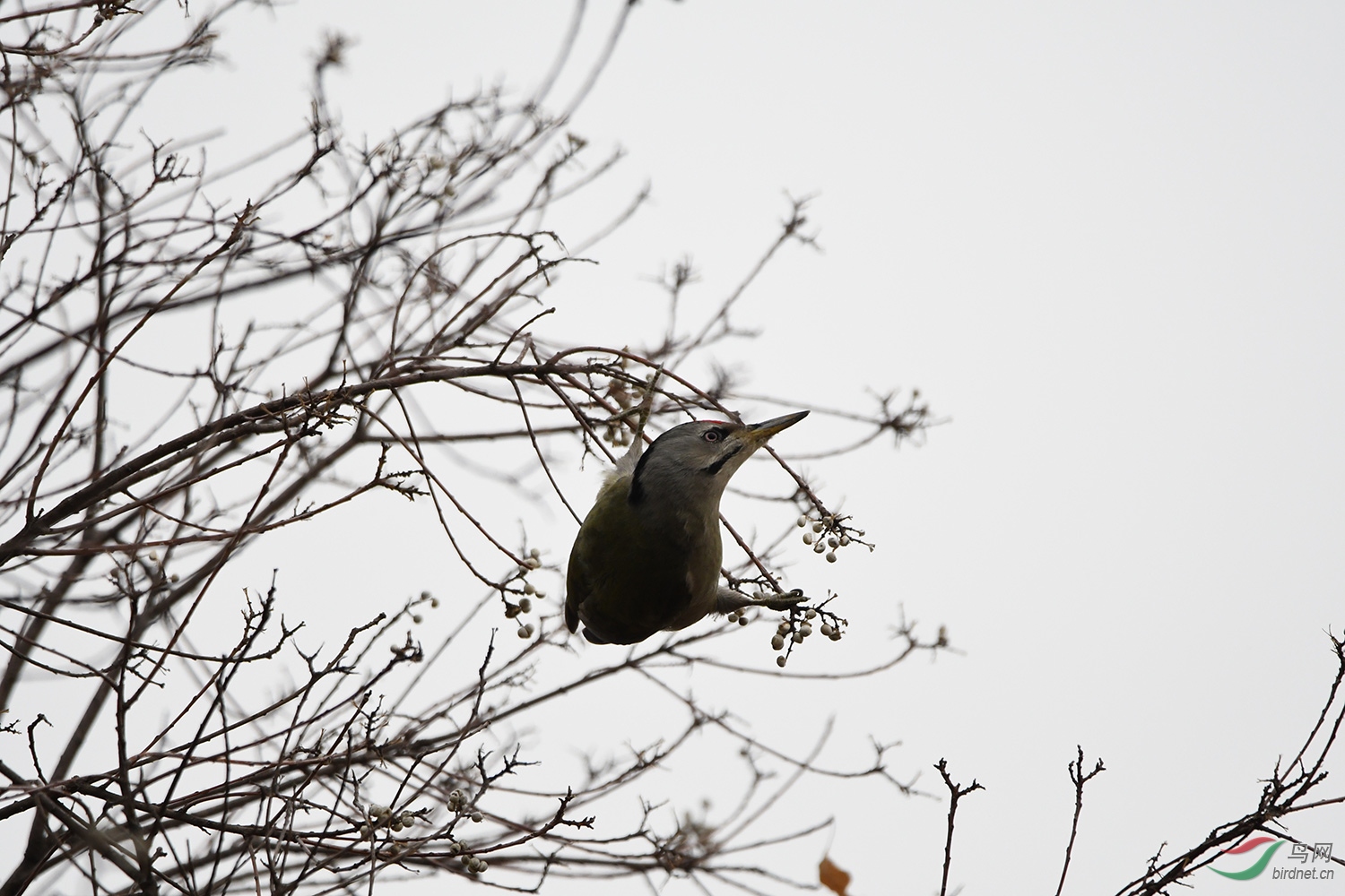 DSC_1737.jpg