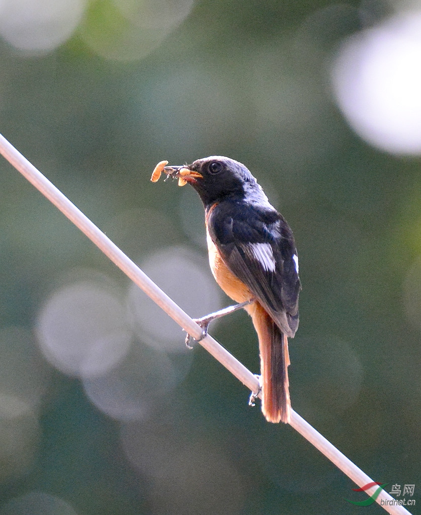 DSC_9021.JPG