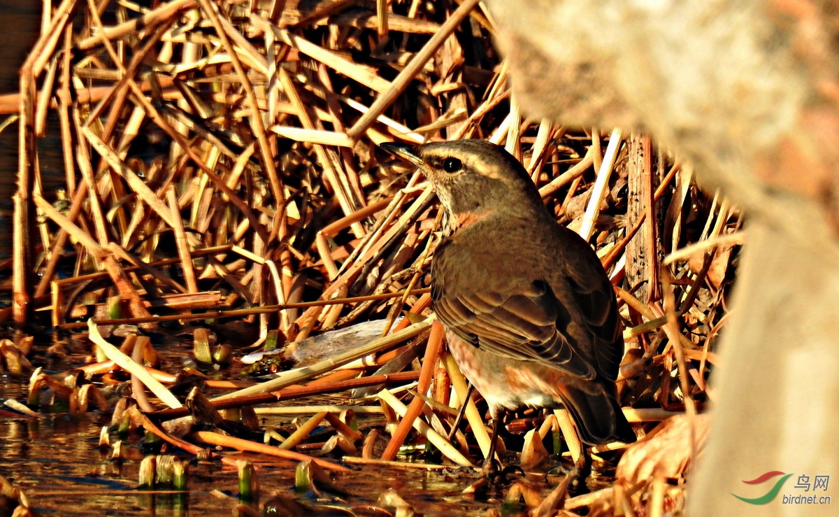DSCN0919.JPG