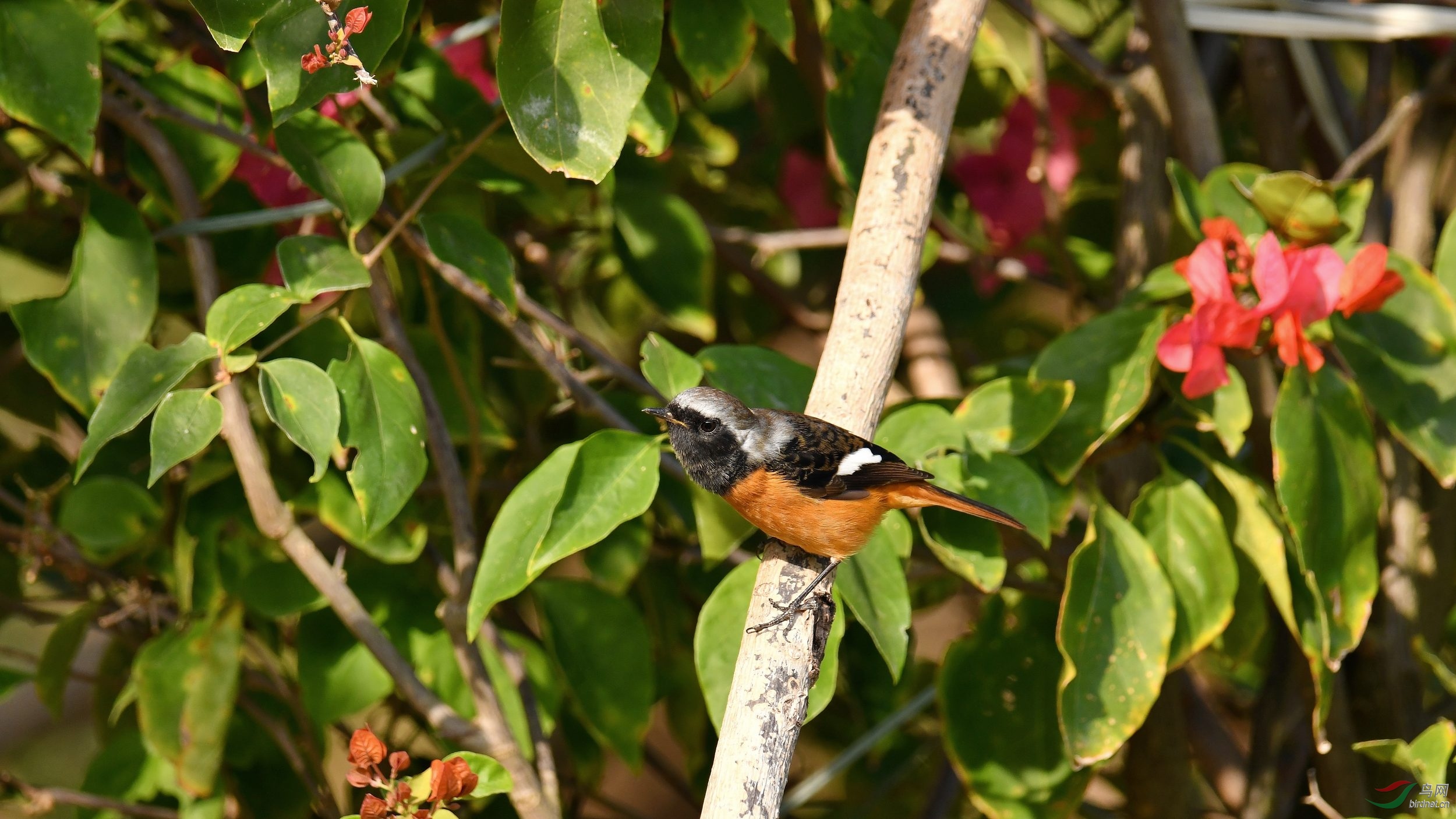 2019-12-03-����ˮ��-0324 Сͼ.jpg