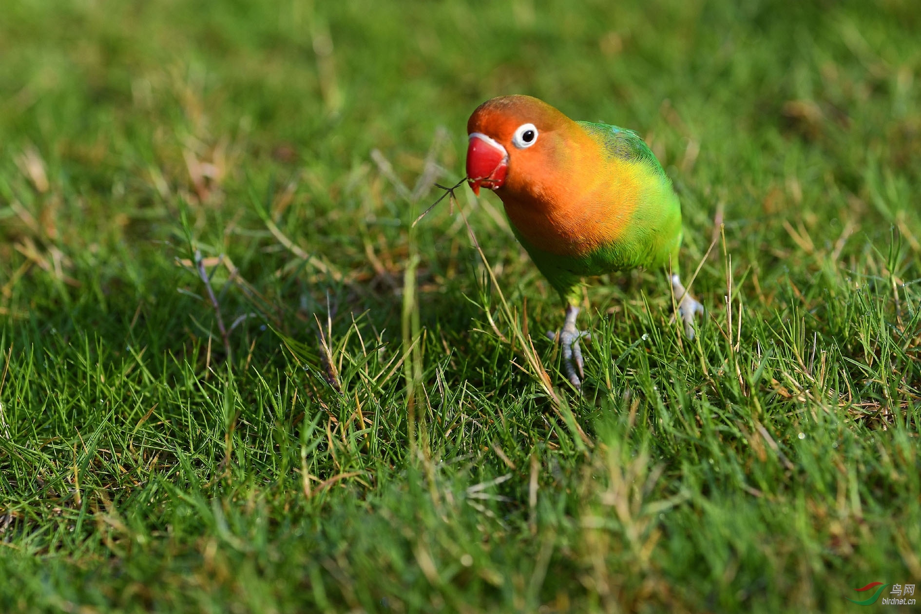DSC_0546.JPG