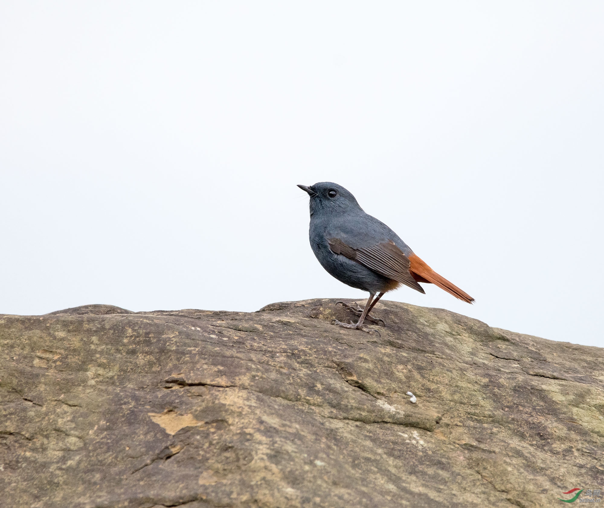 DSC_9671.jpg