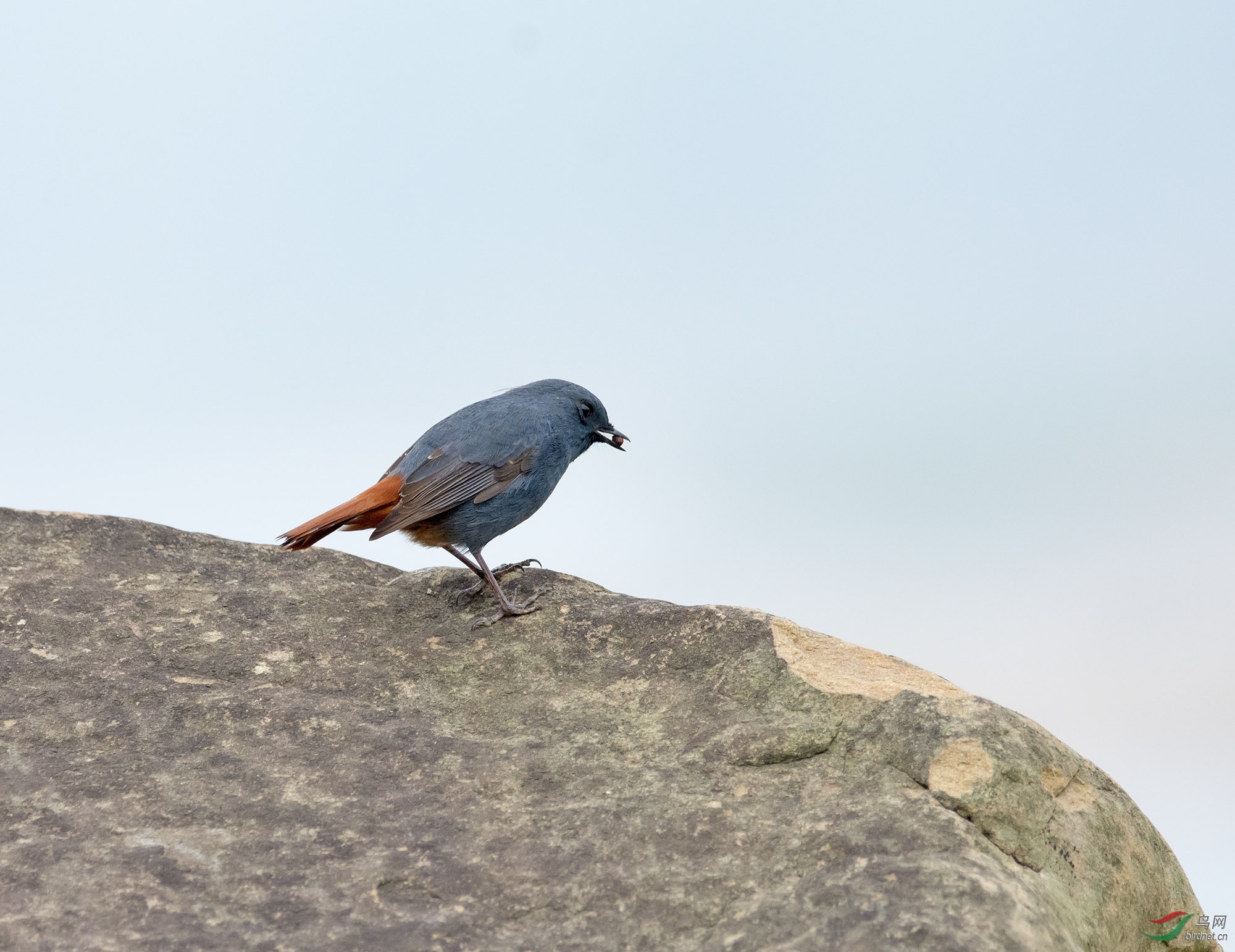 DSC_9694.jpg