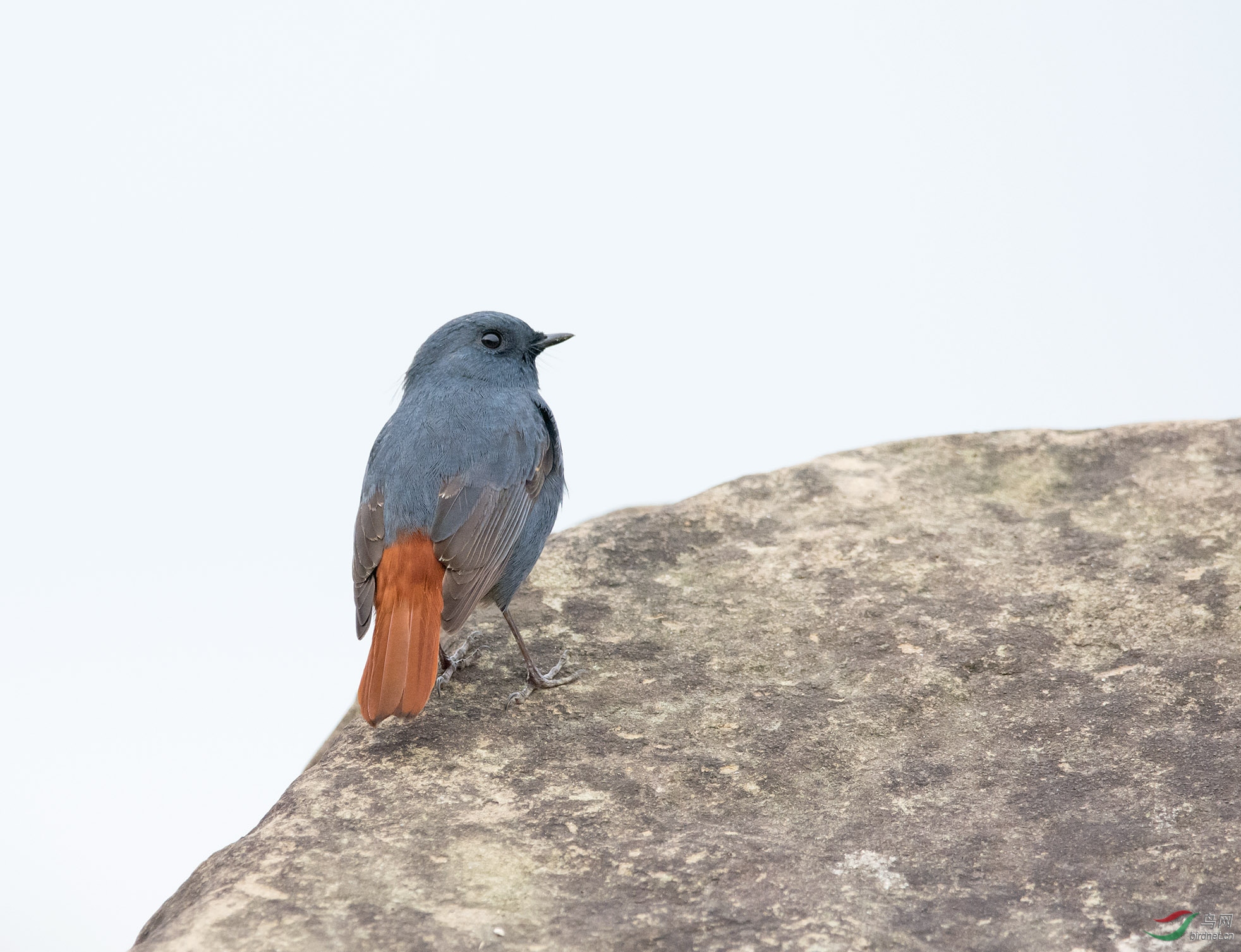 DSC_9719.jpg