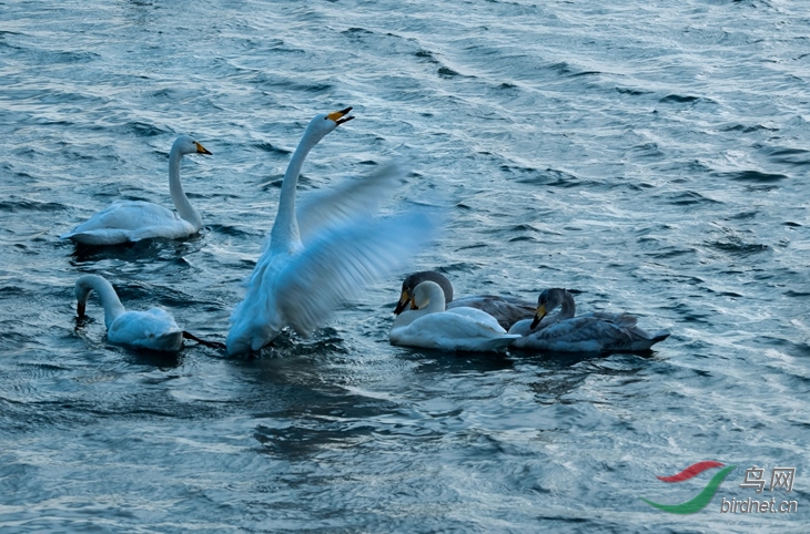 DSC_0566 (2)_����_����_����.jpg