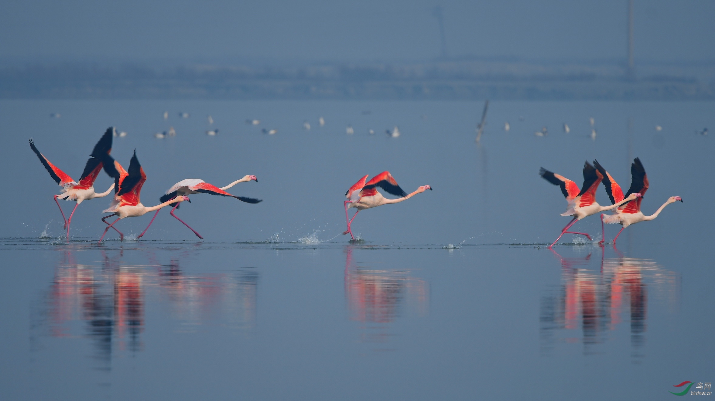 DSC_6723s.jpg