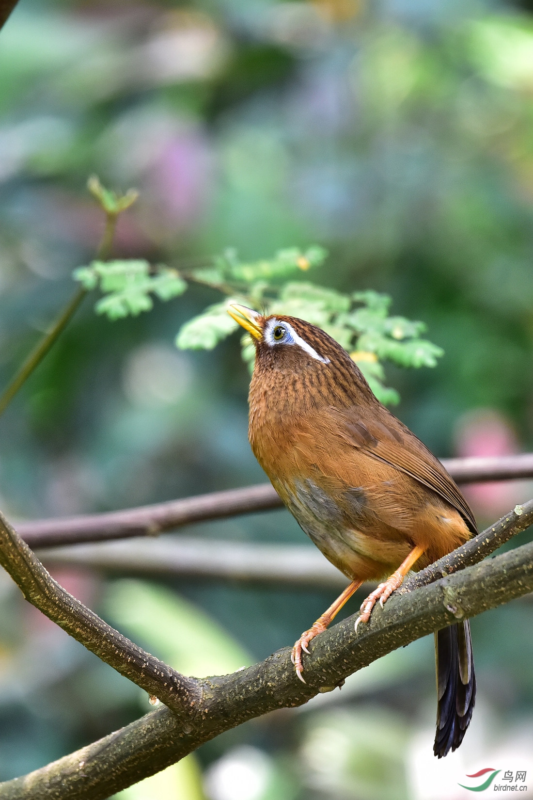 DSC_0564.JPG