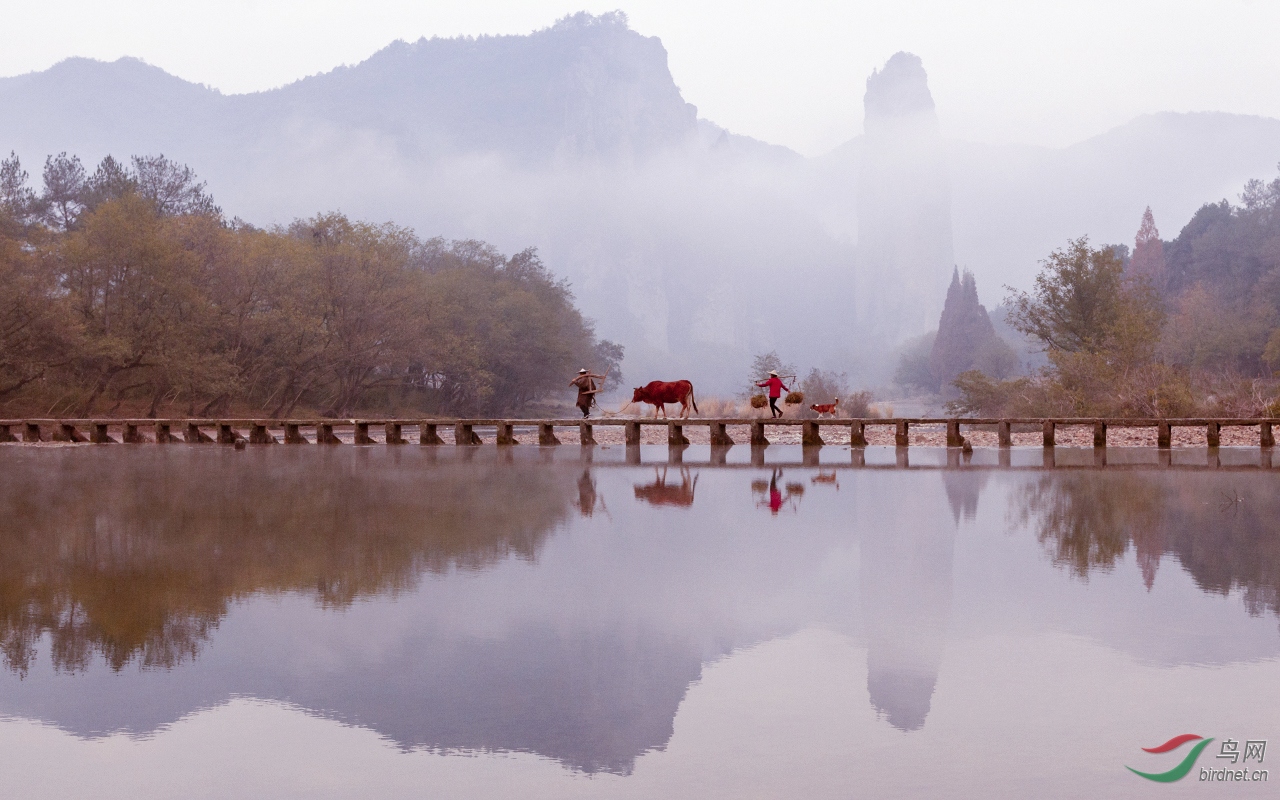 麗水仙都