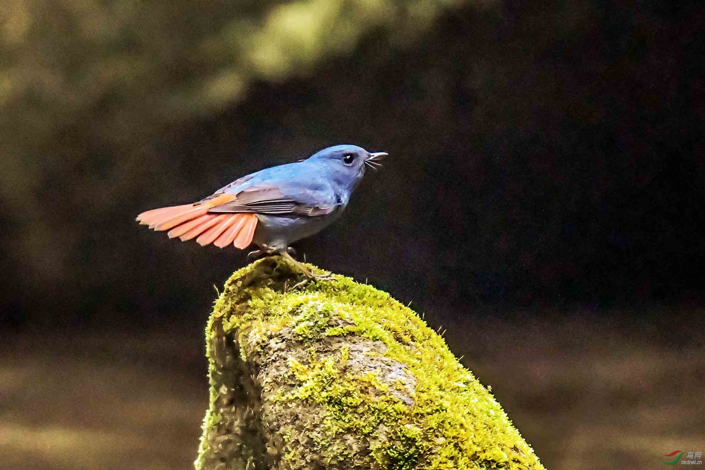 DSC_8843.jpg