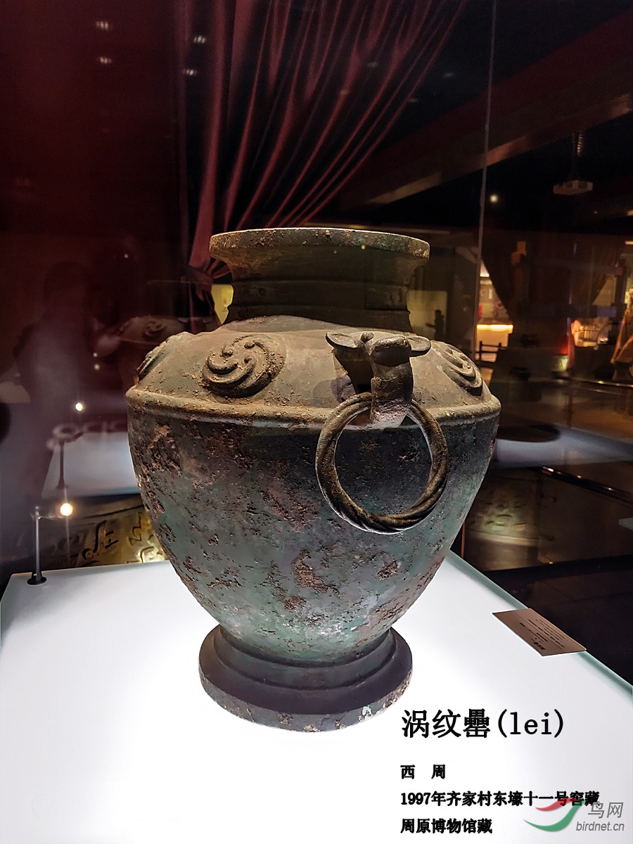 【青铜器欣赏】涡纹罍