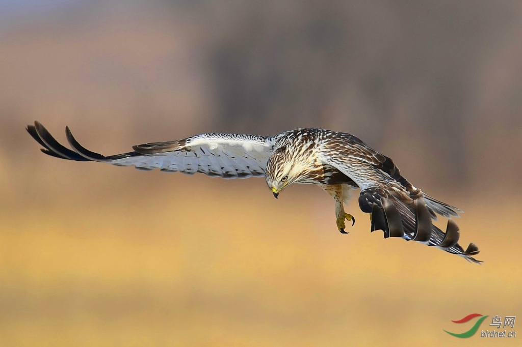 DSC_7704_��ͼ��.jpg
