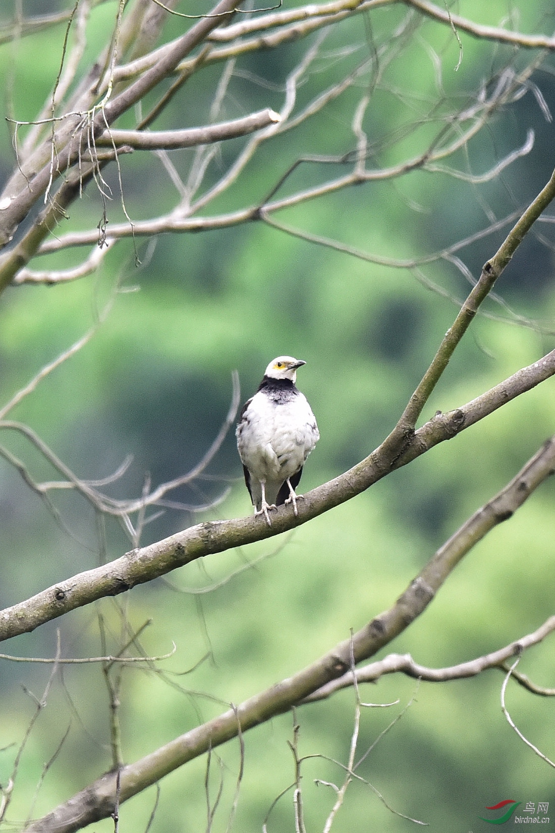 DSC_0574.JPG
